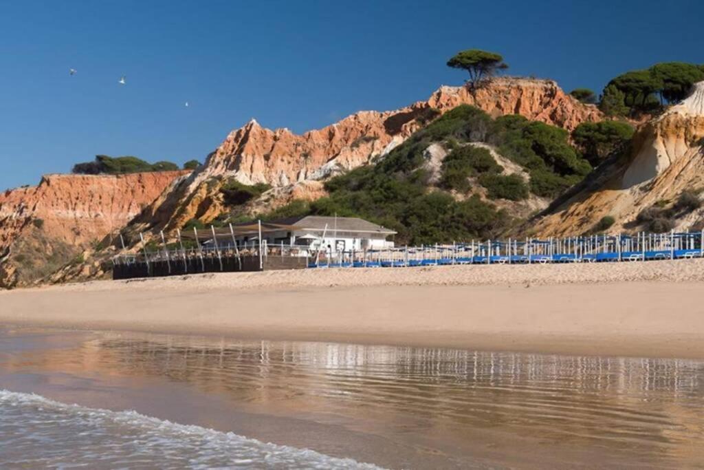 Pool&Garden Village-near beach Albufeira Buitenkant foto